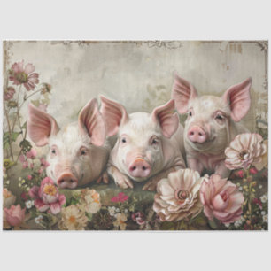 Three Pinky Pigs Tissue Paper