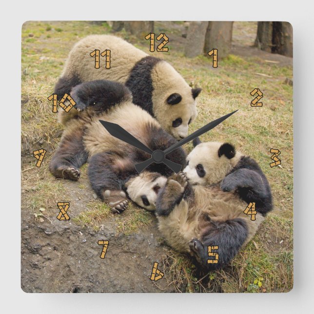 Three Playing Panda Cubs Wall Clock (Front)