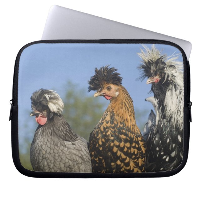 Three Polish Chickens - Laptop Sleeve (Front)