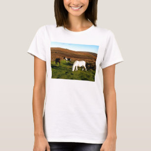 Three ponies on Dartmoor T-Shirt