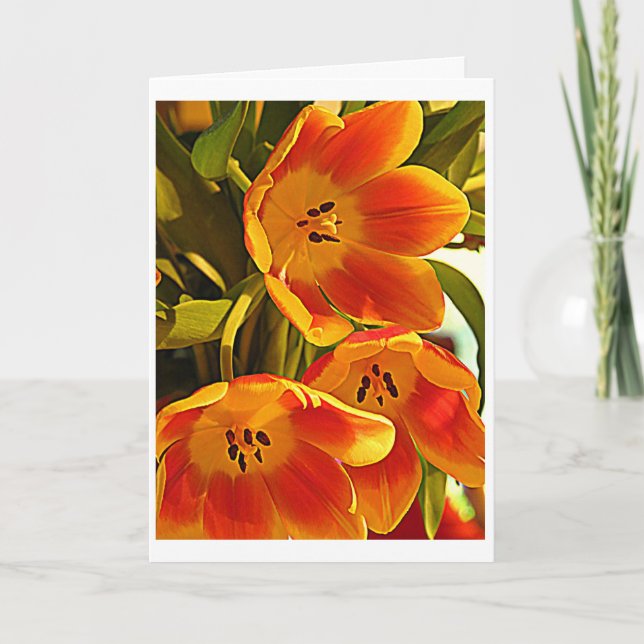 Three Poppies - Shine Brightly Card (Front)