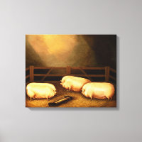 Three Prize Pigs outside a Sty