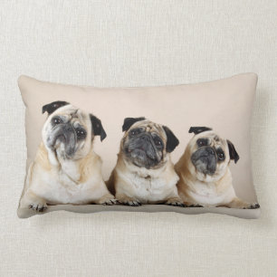 Three Pugs In A Row Lumbar Pillow