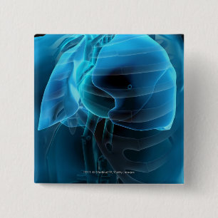 Three quarter view of the heart and lungs 2 inch square button