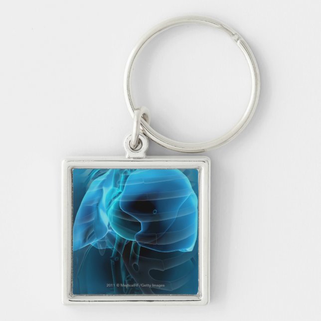Three quarter view of the heart and lungs keychain (Front)