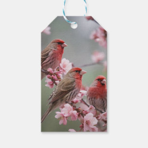 Three Red Finches On Blossom Tree,  Gift Tags