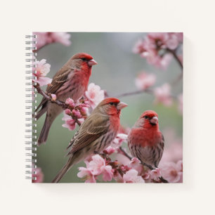 Three Red Finches On Blossom Tree, Notebook