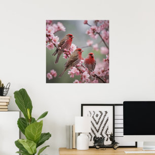 Three Red Finches On Blossom Tree, Poster