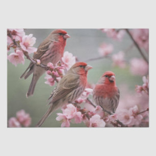 Three Red Finches On Blossom Tree, Tissue Paper