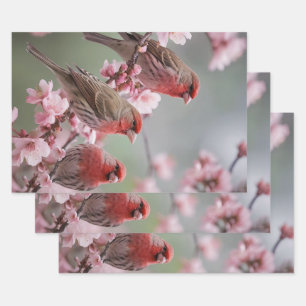 Three Red Finches On Blossom Tree, Wrapping Paper Sheet