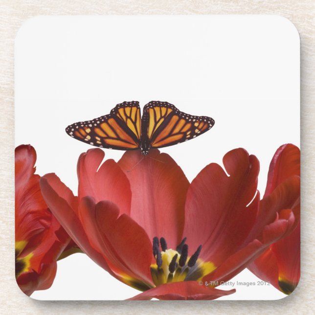 Three red tulips and a monarch butterfly against coaster (Front)