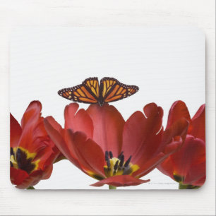 Three red tulips and a monarch butterfly against mouse pad