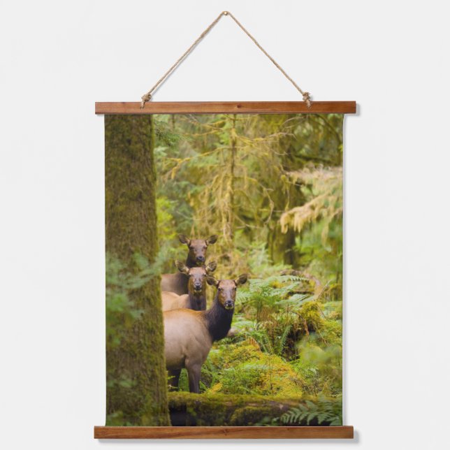 Three Roosevelt Elk Cows Looking At View Hanging Tapestry (Front)