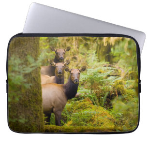 Three Roosevelt Elk Cows Looking At View Laptop Sleeve