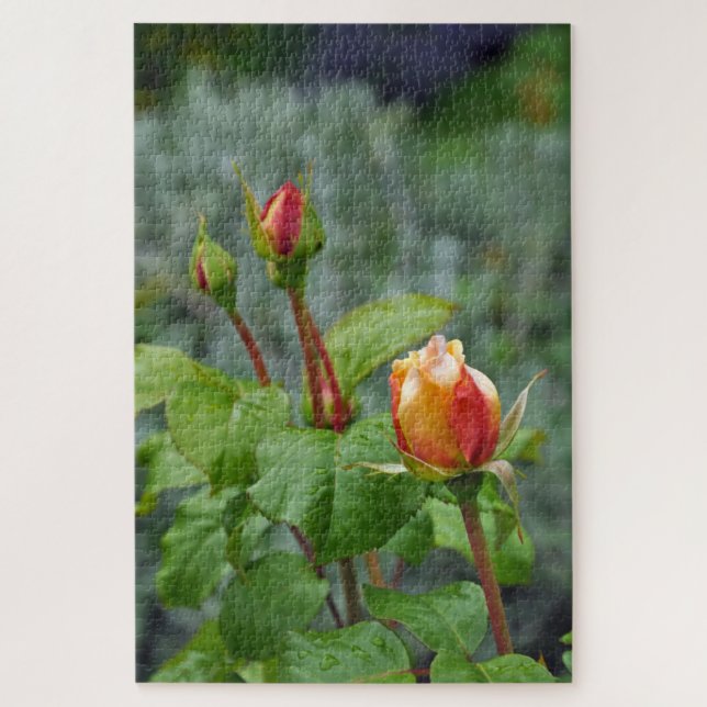 Three rosebuds jigsaw puzzle (Vertical)