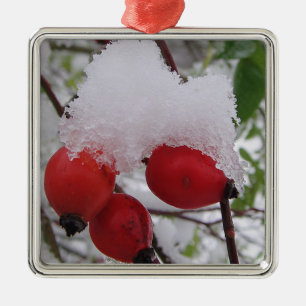 Three rosehips with snow cap metal ornament