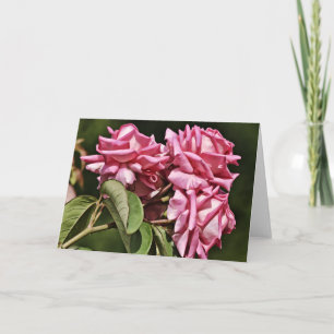 Three Roses Pretty in Pink Card