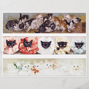 Three Rows of Victorian Era Kittens