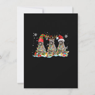 Three Santa ELF Reindeer Raccoon Christmas Light X Invitation