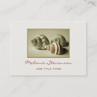 Three Sea Shells Business Card