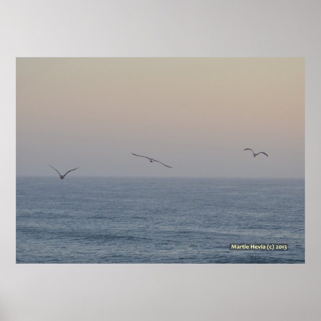 Three Seagulls Poster (Front)
