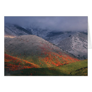 Three seasons of foliage, red maples and fall