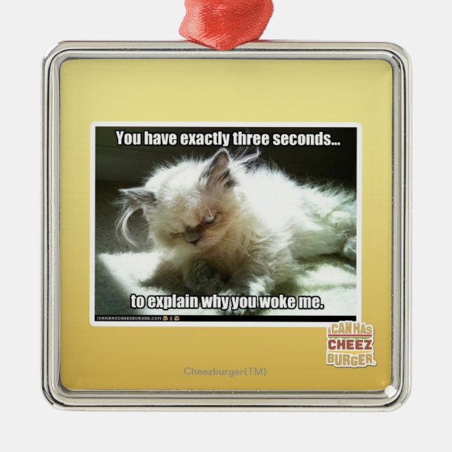 Three seconds metal ornament (Front)