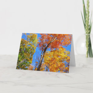 Three Shades of Colorful Fall Maple Trees Card