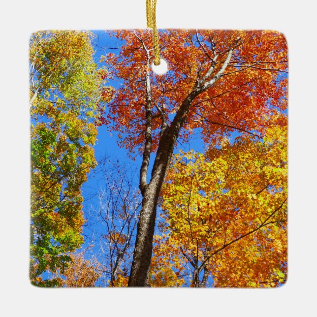 Three Shades of Colourful Fall Maple Trees Ceramic Ornament (Front)