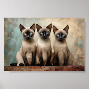 Three Siamese cats Poster