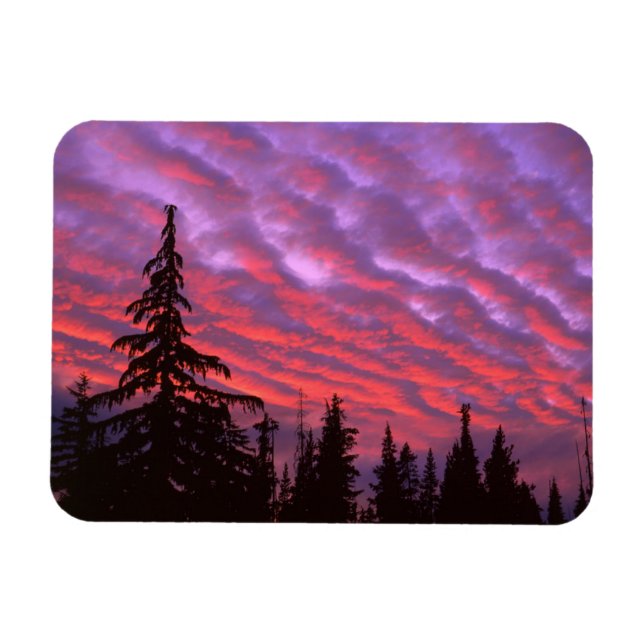 Three Sisters Wilderness, Oregon Magnet (Horizontal)