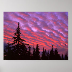 Three Sisters Wilderness, Oregon Poster