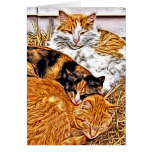 Three Sleepy Cats
