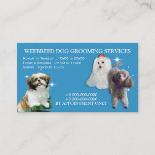 Three small dogs on blue white dog grooming business card