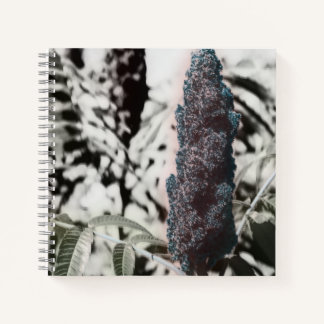 Three Spiral Notebook
