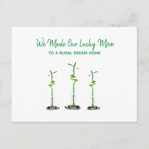 Three Spiralled Lucky Bamboo We Moved Announcement Postcard
