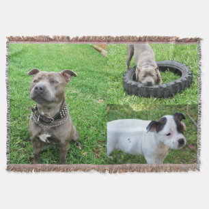 Three Staffordshire Bull Terriers, Throw Blanket