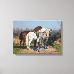 Three Stallion Horses (by Rosa Bonheur) Canvas Print