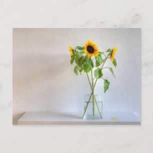Three Sunflowers Postcard