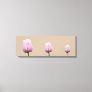 Three Tall Tulips Canvas Print