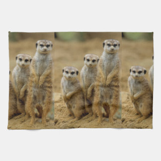 three terrestrial (Suricata suricatta) Kitchen Towel
