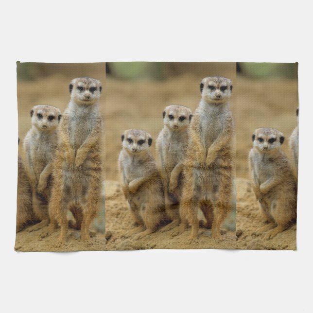 three terrestrial (Suricata suricatta) Kitchen Towel (Horizontal)