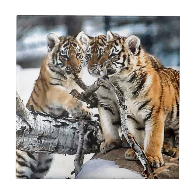 Three Tiger Cubs At Play Tile (Front)