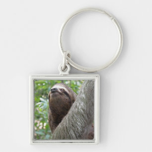 Three Toed Sloth Keychain