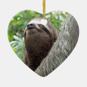 Three Toed  Sloth Ornament
