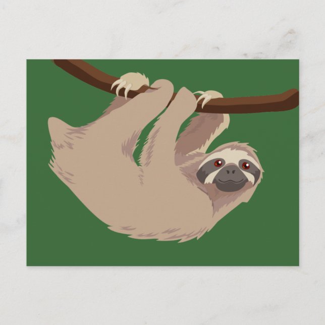 Three Toed Sloth Postcard (Front)