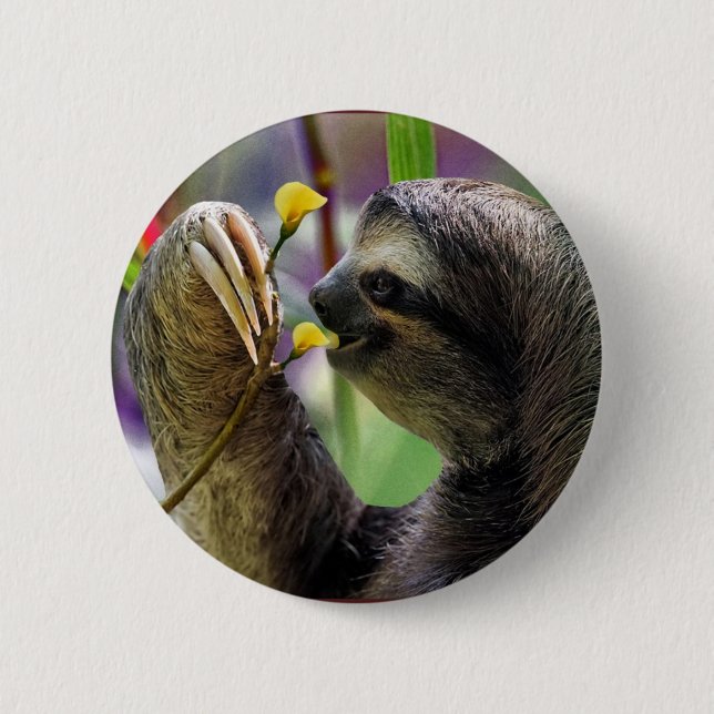 Three-Toed Tree Sloth 2 Inch Round Button (Front)