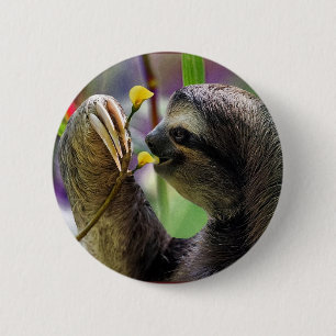 Three-Toed Tree Sloth 2 Inch Round Button