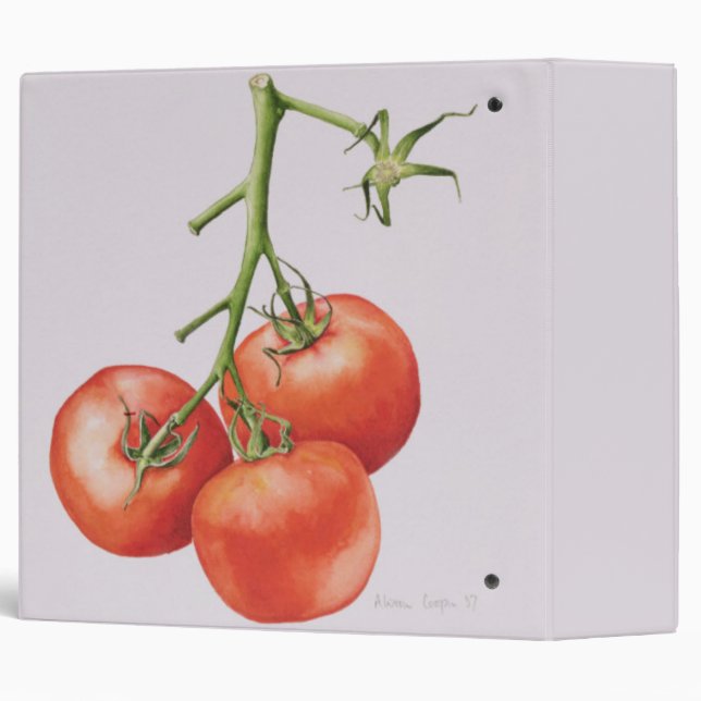Three Tomatoes on the Vine 1997 Binder (Back/Spine)