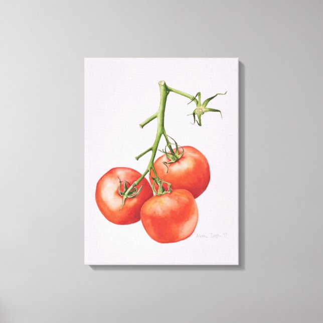 Three Tomatoes on the Vine 1997 Canvas Print (Front)
